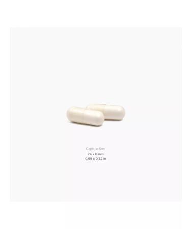 Maxler Creatine Monohydrate Creatine 1000mg 100 vegan capsules - Buy Online on GoSupps.com