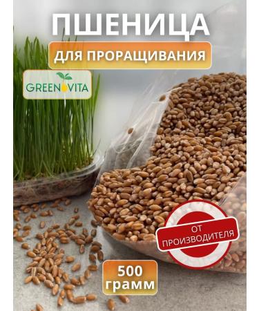 GREENOVITA Wheat seeds for germination