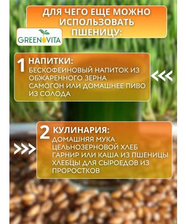 GREENOVITA Wheat seeds for germination - Buy Online on GoSupps.com