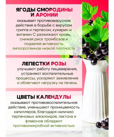 Favorite Tastes Black tea with currant - Buy Online on GoSupps.com