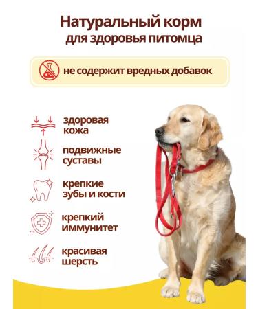 DILLY Dry food for dogs with chicken 14 kg - Buy Online on GoSupps.com