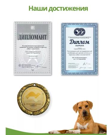 DILLY Dog food dry beef goulash 14 kg - Buy Online on GoSupps.com