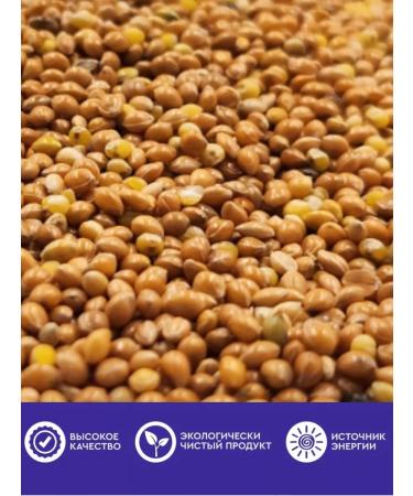 ROYAL KLAR Prosy yellow food for parrots birds rodents - Buy Online on GoSupps.com