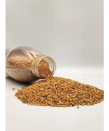 ROYAL KLAR Prosy yellow food for parrots birds rodents - Buy Online on GoSupps.com