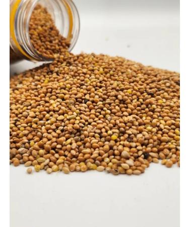 ROYAL KLAR Prosy yellow food for parrots birds rodents - Buy Online on GoSupps.com