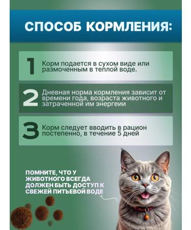 SHELMA Cat food for sterilized 8 kg + 1.5 kg gift - Buy Online on GoSupps.com