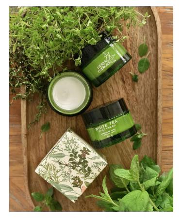 Face cream from wrinkles and pigment spots with white tea 25+ - Buy Online on GoSupps.com