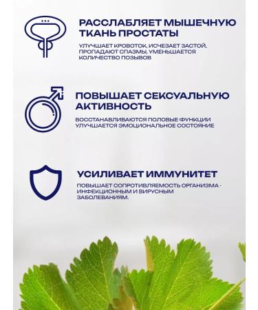 bee lab Phytosworms are sample for men to increase potency 15 pcs - Buy Online on GoSupps.com