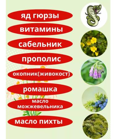 Korolev Farm Balm with snake poison 3 pcs. 125 ml - Buy Online on GoSupps.com