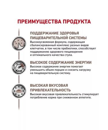 ROYAL CANIN Cat food for dry gastroinsal GastroinTestinal 2kg - Buy Online on GoSupps.com