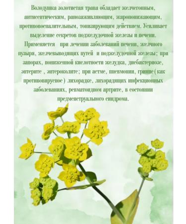 LekraSet Volodushka golden grass 2pcs of 20 paces of 1.5g - Buy Online on GoSupps.com
