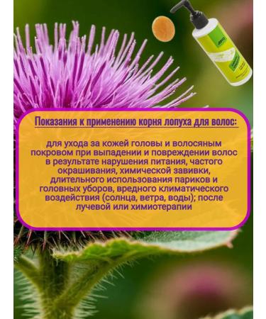 ARGO Constantrate shampoo with burdock root extract 250 ml - Buy Online on GoSupps.com