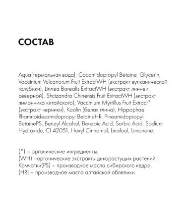 Natura Siberica Foam for washing the face cleansing matting 2x150 ml - Buy Online on GoSupps.com