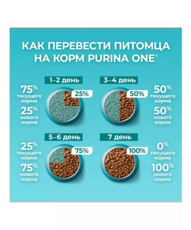 PURINA ONE Dry food for sterilized cats with salmon - 3 kg - Buy Online on GoSupps.com