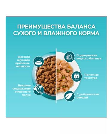 PURINA ONE Dry food for sterilized cats with salmon - 3 kg - Buy Online on GoSupps.com