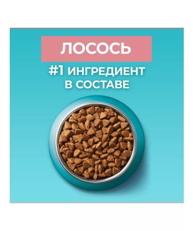 PURINA ONE Dry food for sterilized cats with salmon - 3 kg - Buy Online on GoSupps.com