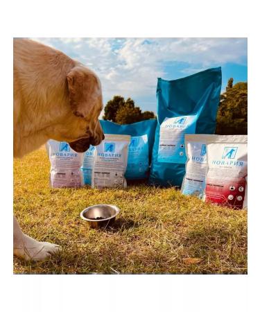 Novaria Feed holistic for dogs lambs and rice large granules 10 kg - Buy Online on GoSupps.com