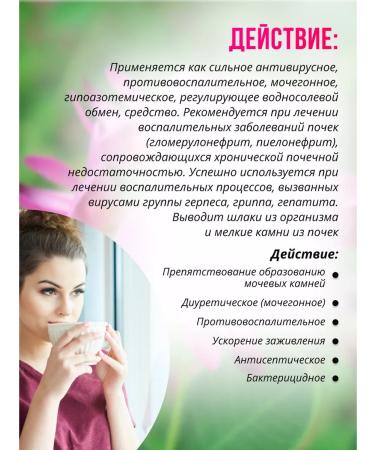 Sage Leseda Pedagogical Cooperary grass 5 pcs phytochai - Buy Online on GoSupps.com