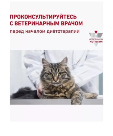 ROYAL CANIN Diabetic Feline diabetes food for cats with diabetes 1.5 kg - Buy Online on GoSupps.com