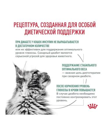 ROYAL CANIN Diabetic Feline diabetes food for cats with diabetes 1.5 kg - Buy Online on GoSupps.com