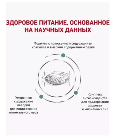 ROYAL CANIN Diabetic Feline diabetes food for cats with diabetes 1.5 kg - Buy Online on GoSupps.com