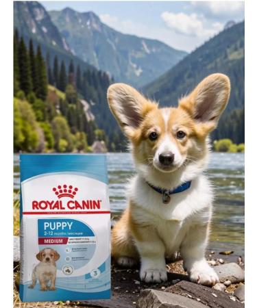 ROYAL CANIN Dry feed Medium Puppy for medium breeds 3 kg - Buy Online on GoSupps.com