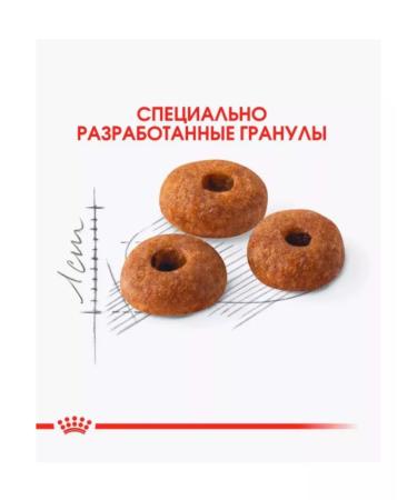 ROYAL CANIN Dry FIT-32 food for adult cats extending to 2kg street - Buy Online on GoSupps.com