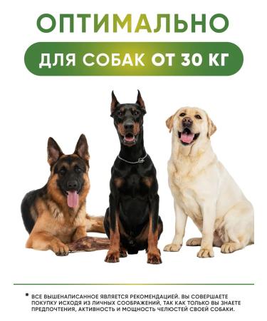 Top Lap Bone for dogs of large beef breeds with veins and cartilage - Buy Online on GoSupps.com