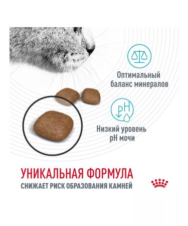 ROYAL CANIN Cat Form Urinary Care 2 kg - Buy Online on GoSupps.com