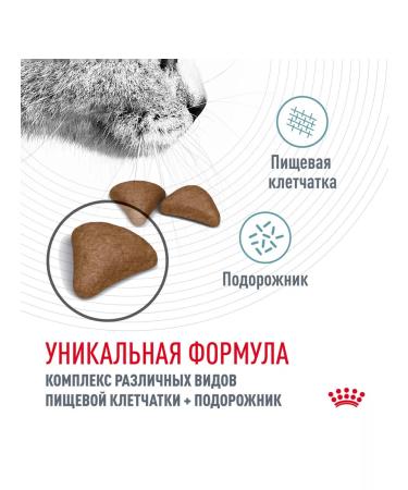 ROYAL CANIN Hairball Care 2 kg - Buy Online on GoSupps.com