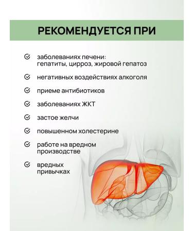 Crane pine and sun Collection for the liver with a quick and artichoke 2 - Buy Online on GoSupps.com