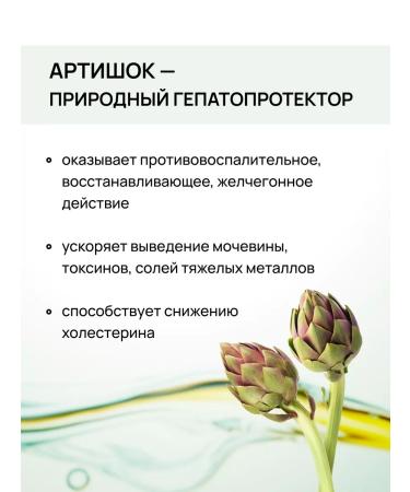 Crane pine and sun Collection for the liver with a quick and artichoke 2 - Buy Online on GoSupps.com