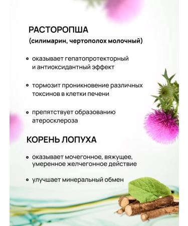 Crane pine and sun Collection for the liver with a quick and artichoke 4 - Buy Online on GoSupps.com