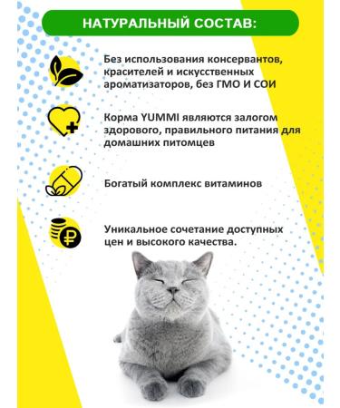 YUMMI Dry food for premium cats meat & liver - Buy Online on GoSupps.com