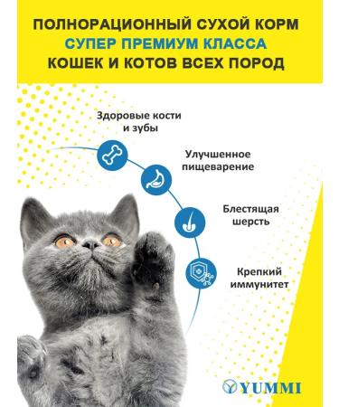 YUMMI Dry food for premium cats meat & liver - Buy Online on GoSupps.com