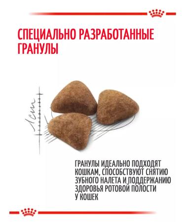 ROYAL CANIN Dry food for home cats Indoor 2kg - Buy Online on GoSupps.com