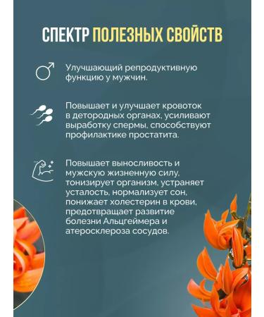 Thanyaporn Men's vitamins Bethea Superbia 2 pcs - Buy Online on GoSupps.com