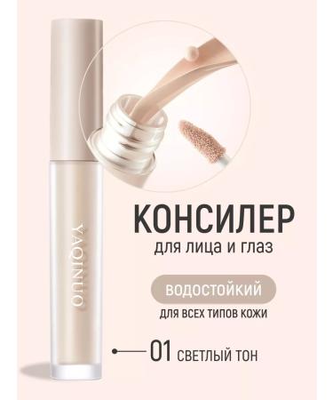 ariBeauty Classile corrector for the face and eyes 01 liquid dense