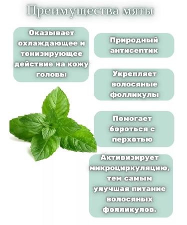 4smile Firm unpleptic hair shampoo peppermint - Buy Online on GoSupps.com