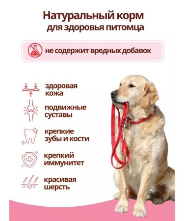 DILLY Dry food for dogs full -time with fish 3.7 kg - Buy Online on GoSupps.com