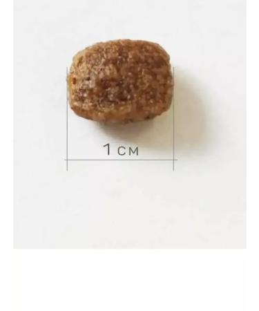 Dry food for cats Peppo rabbit 1.5 kg - Buy Online on GoSupps.com