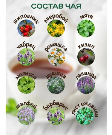 Leyli Tea World Herbal tea vitamin - Buy Online on GoSupps.com