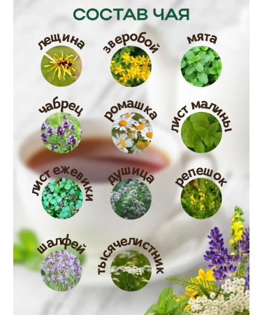 Leyli Tea World Herbal tea morning in the mountains - Buy Online on GoSupps.com