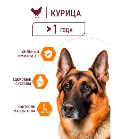 AWARD Dry food for dogs of large breeds with chicken and turkey 12kg - Buy Online on GoSupps.com