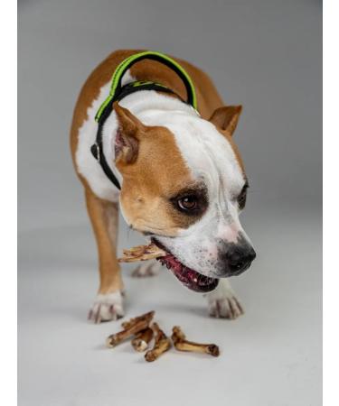 Hashtag Duck paws of dogs for dogs 500 grams - Buy Online on GoSupps.com