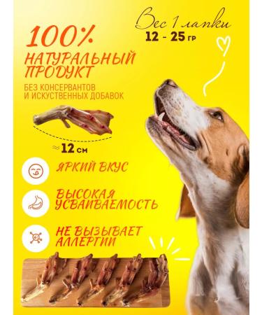 Hashtag Duck paws of dogs for dogs 500 grams - Buy Online on GoSupps.com