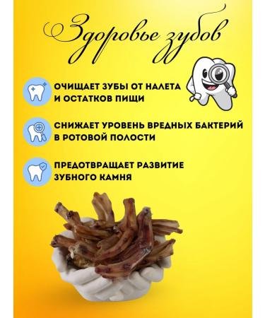 Hashtag Duck paws of dogs for dogs 500 grams - Buy Online on GoSupps.com