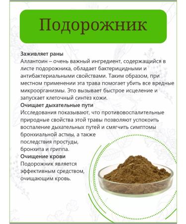 Otvarchik pei Altai plantain sheet grass - Buy Online on GoSupps.com
