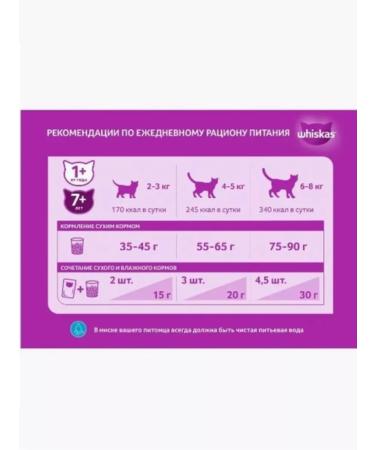 WHISKAS Dry food for cats paste pads beef 5kg - Buy Online on GoSupps.com