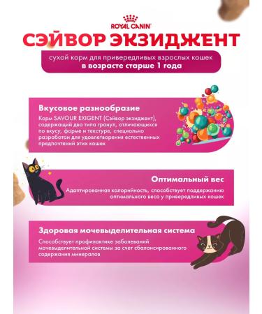 ROYAL CANIN Dry food for cats Savour picky to taste 2 kg - Buy Online on GoSupps.com